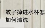 蚊子掉进水杯怎么清洗 蚊子掉进水杯如何清洗