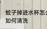 蚊子掉进水杯怎么清洗 蚊子掉进水杯如何清洗