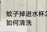 蚊子掉进水杯怎么清洗 蚊子掉进水杯如何清洗