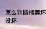 怎么判断榴莲坏没坏 如何判断榴莲坏没坏