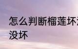 怎么判断榴莲坏没坏 如何判断榴莲坏没坏