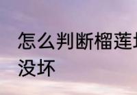 怎么判断榴莲坏没坏 如何判断榴莲坏没坏