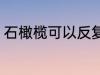 石橄榄可以反复熬煮吗 石橄榄的功效