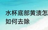 水杯底部黄渍怎么清洗 水杯底部黄渍如何去除