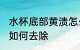 水杯底部黄渍怎么清洗 水杯底部黄渍如何去除