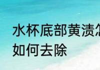 水杯底部黄渍怎么清洗 水杯底部黄渍如何去除