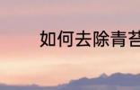 如何去除青苔 去青苔的方法