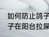 如何防止鸽子在阳台拉屎 怎么防止鸽子在阳台拉屎