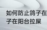 如何防止鸽子在阳台拉屎 怎么防止鸽子在阳台拉屎