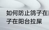 如何防止鸽子在阳台拉屎 怎么防止鸽子在阳台拉屎