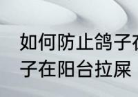 如何防止鸽子在阳台拉屎 怎么防止鸽子在阳台拉屎