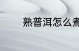 熟普洱怎么煮 熟普洱如何煮