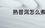 熟普洱怎么煮 熟普洱如何煮