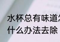 水杯总有味道怎么办 水杯总有味道有什么办法去除