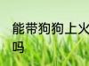 能带狗狗上火车吗 可以带狗狗上火车吗