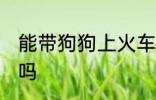 能带狗狗上火车吗 可以带狗狗上火车吗