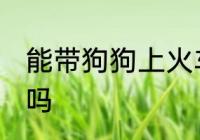 能带狗狗上火车吗 可以带狗狗上火车吗