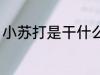 小苏打是干什么的 小苏打有什么作用