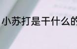 小苏打是干什么的 小苏打有什么作用