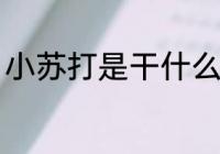 小苏打是干什么的 小苏打有什么作用