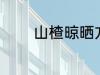 山楂晾晒方法 山楂怎么晾晒