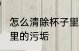怎么清除杯子里的污垢 如何清除杯子里的污垢