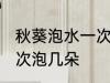 秋葵泡水一次泡几朵 使用秋葵泡水一次泡几朵