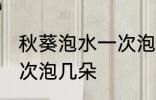 秋葵泡水一次泡几朵 使用秋葵泡水一次泡几朵