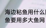 海边粘鱼用什么网最好 海边下粘网捕鱼要用多大鱼网