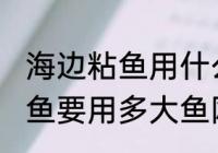 海边粘鱼用什么网最好 海边下粘网捕鱼要用多大鱼网