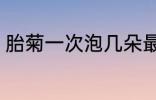 胎菊一次泡几朵最佳 每次泡几朵胎菊