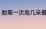 胎菊一次泡几朵最佳 每次泡几朵胎菊
