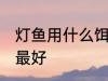 灯鱼用什么饵料最好 灯鱼用哪些饵料最好