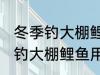 冬季钓大棚鲤鱼用什么鱼食最好 冬季钓大棚鲤鱼用哪些鱼食最好
