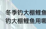 冬季钓大棚鲤鱼用什么鱼食最好 冬季钓大棚鲤鱼用哪些鱼食最好