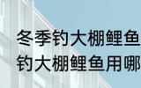 冬季钓大棚鲤鱼用什么鱼食最好 冬季钓大棚鲤鱼用哪些鱼食最好