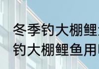 冬季钓大棚鲤鱼用什么鱼食最好 冬季钓大棚鲤鱼用哪些鱼食最好