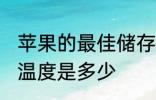 苹果的最佳储存温度 苹果的最佳储存温度是多少