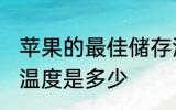 苹果的最佳储存温度 苹果的最佳储存温度是多少