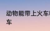 动物能带上火车吗 动物能不能带上火车