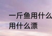一斤鱼用什么漂最好看 钓半斤到1斤用什么漂