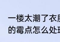 一楼太潮了衣服发霉怎么办 衣服发霉的霉点怎么处理
