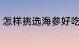 怎样挑选海参好吃 如何挑选海参好吃