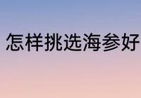 怎样挑选海参好吃 如何挑选海参好吃