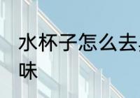 水杯子怎么去异味 水杯子如何去除异味
